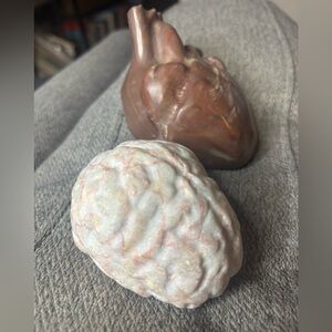 Heart and Brain Sculpture Set